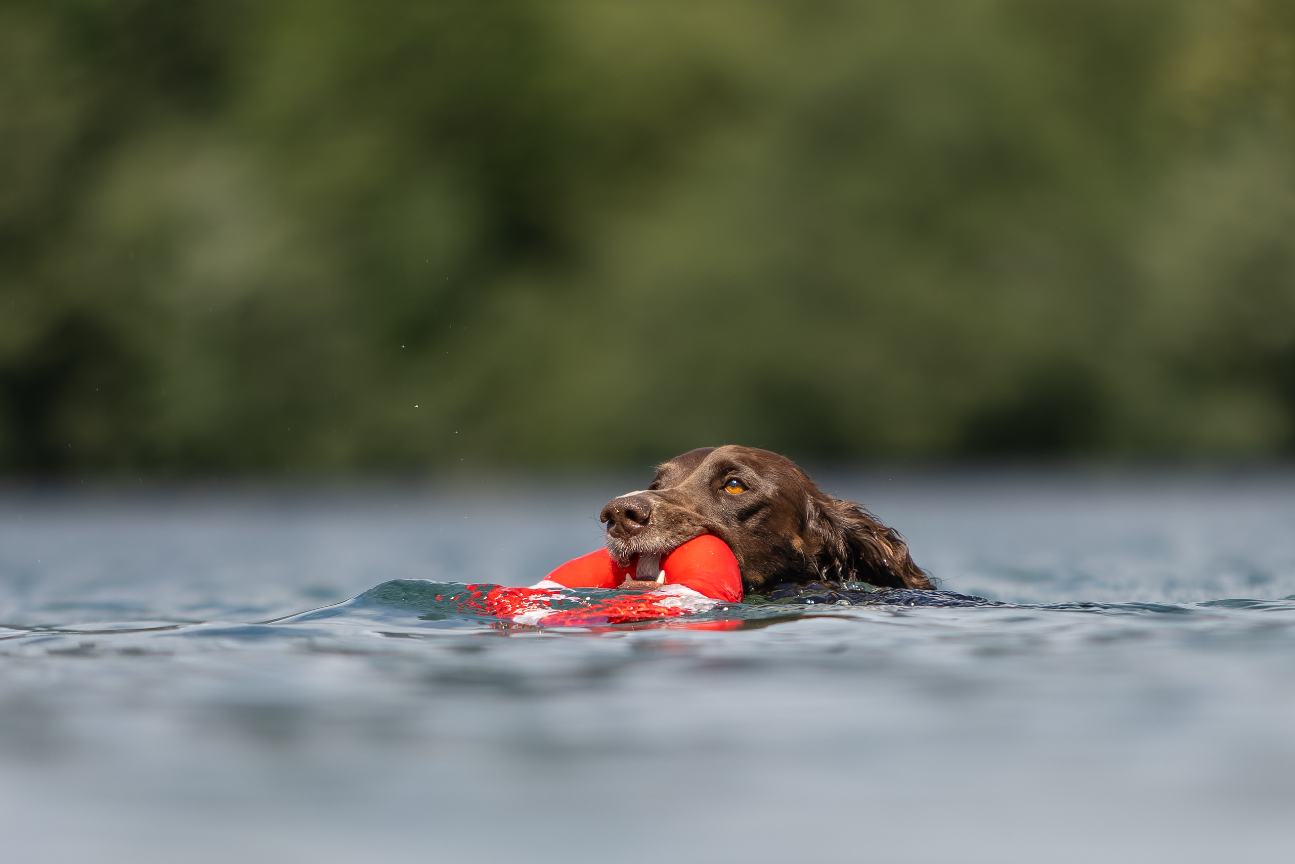 Regia bei der Seenotrettung