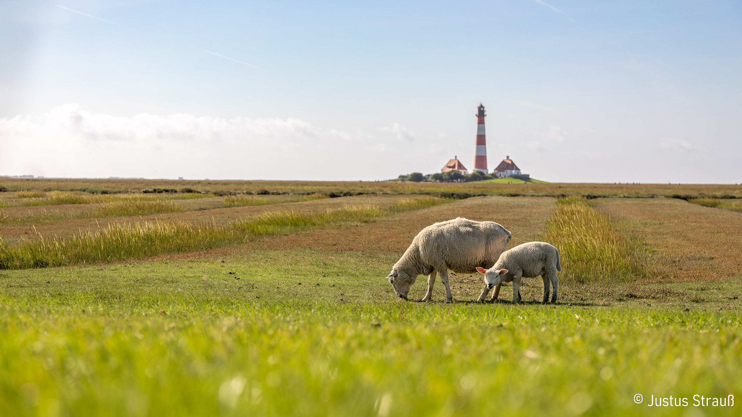 Bekannter Leuchtturm und seine Nachbarn